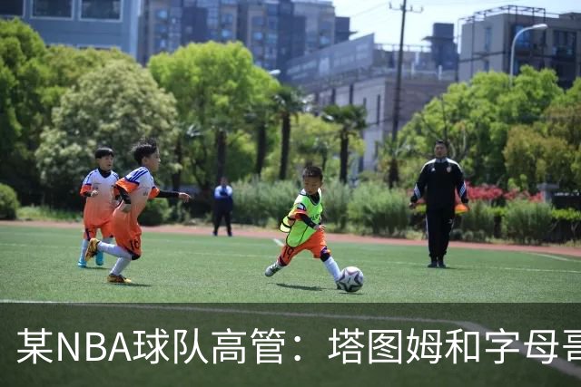 某NBA球队高管：塔图姆和字母哥的上限极高 但是球队会缺乏深度